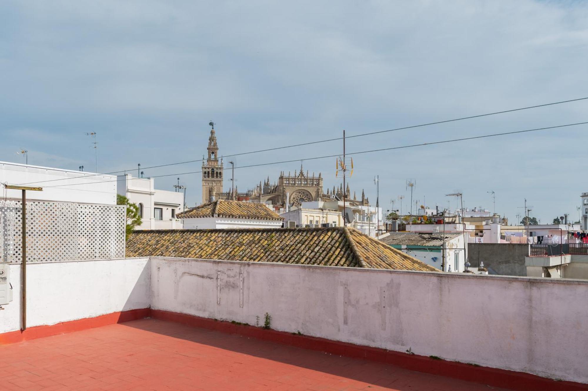 Mara Arenal * Siviglia